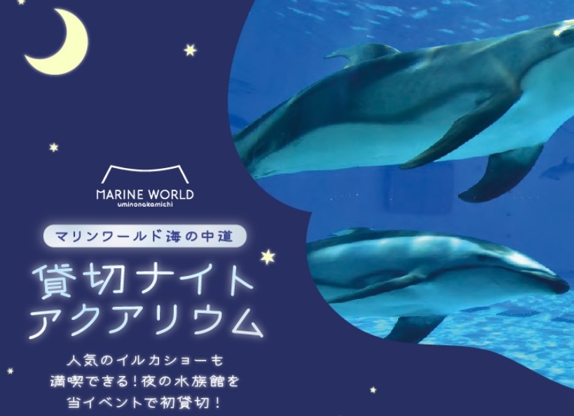 【完売しました】9/28(土)夜のマリンワールド　貸切イベント🐬