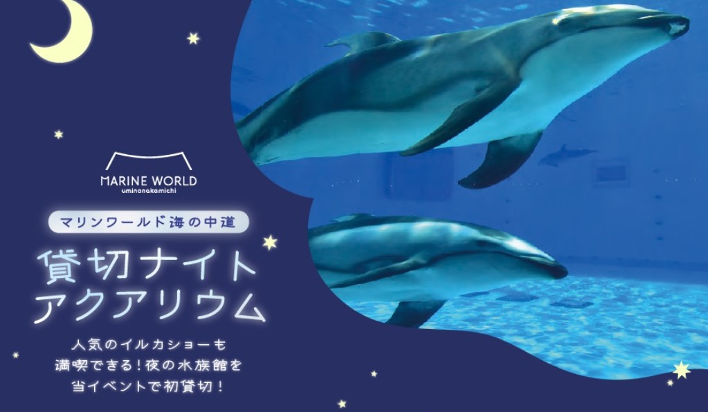 12/21(土)夜のマリンワールド　貸切イベント🐬